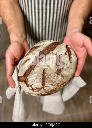 Frisch gebackenes Roggenbrot in männlichen Händen. Ein Bäcker in einer gestreiften dunklen Schürze hält selbstgebackenes Roggenbrot in den Händen. Stockfoto