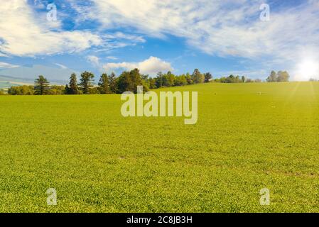 Malerische Landschaften der landwirtschaftlichen Wiese in der Dämmerung Licht. Stockfoto