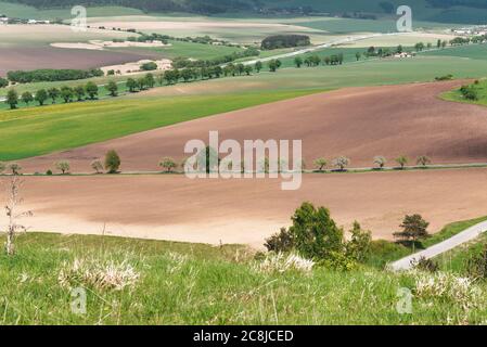 Landwirtschaftliche schwarze und grüne Felder Luftbild. Horizontale Ansicht in Perspektive. Reihen von Erde vor dem Pflanzen. Zeilenmuster in einem gepflügten Feld. Stockfoto