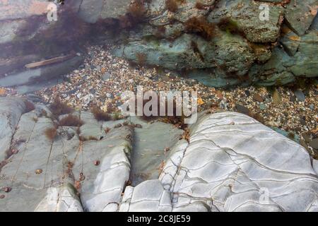 PolzeathStrandfarbene Steine an einem englischen Strand in Cornwall Stockfoto