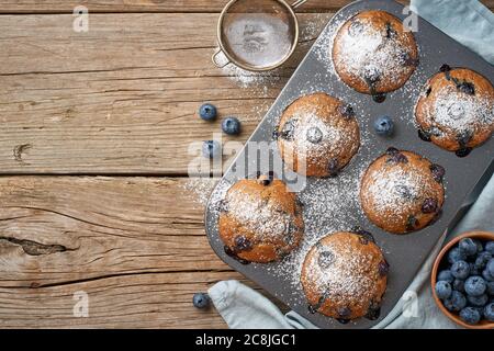 Blaubeer Muffin in Schale, kopieren Platz. Cupcakes mit Beeren in Backform Stockfoto