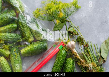 Salzarme Gurken in einem Beutel. Knirschende Salzgurken ohne Salzlake. Trockene Salzen - eine Methode zum Kochen Gurken. Stockfoto