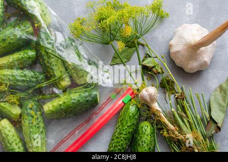 Salzarme Gurken in einem Beutel. Knirschende Salzgurken ohne Salzlake. Trockene Salzen - eine Methode zum Kochen Gurken. Stockfoto