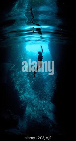 Unterwasser-Vertikalaufnahme eines Tauchers, der zur Oberfläche reicht Mit einer Hand Stockfoto