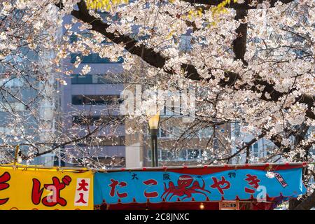 Osaka, Japan - CIRCA April, 2019 : Japanische Street Food Stände auf Osaka Castle Kirschblütenfest Stockfoto