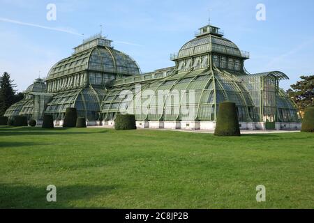 Green House Palmenhaus Schönbrunn in Schönbrunn, Wien, Österreich Stockfoto