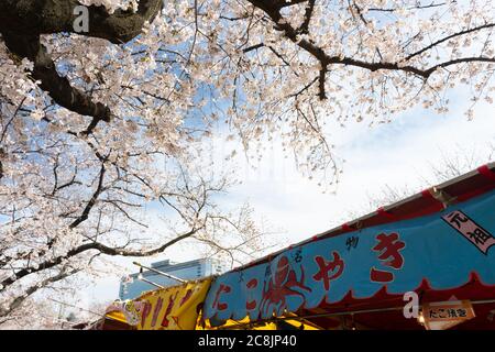 Osaka, Japan - CIRCA April, 2019 : Japanische Street Food Stände auf Osaka Castle Kirschblütenfest Stockfoto