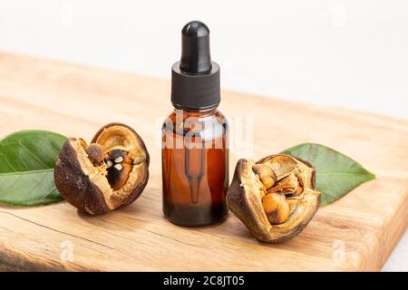 Flasche mit ätherischem Öl Camellia und Kameliensamen auf Holztisch. Schönheit, Hautpflege, Wellness Stockfoto