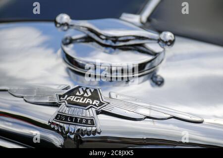 Kühlerdeckel und Motorhaubenlogo eines Jaguar SS 100 zweieinhalb Liter Stockfoto