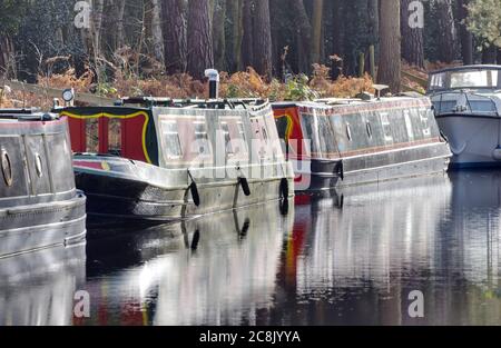 Boote spiegeln das Licht an einem hellen Wintertag entlang des wunderschönen Basingstoke Canal in Surrey Stockfoto