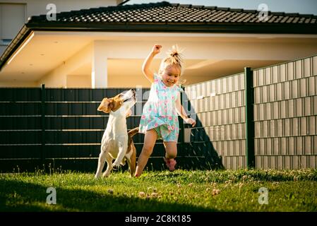 Baby Mädchen laufen mit Beagle Hund im Hinterhof im Sommer Tag. Haustierkonzept mit Kindern. Stockfoto