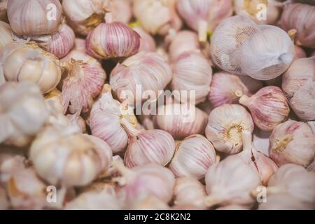 Im Lebensmittelgeschäft gibt es viele Köpfe von reifen, duftenden Knoblauch in der Schale. Zutat zum Kochen. Reiche Ernte. Stockfoto