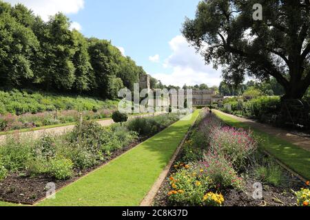 Dyrham Deer Park National Trust 2020 Stockfoto