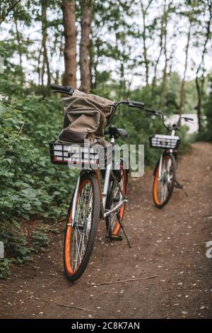 Zwei Fahrrad auf einem Waldweg, aktiver Lebensstil, Outdoor-Sport Stockfoto