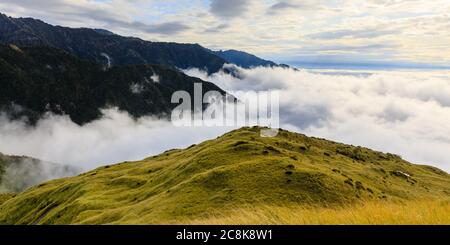 Berggipfel in Franz Josef, die sich über eine Wolkeninversion aus der Sicht des Gipfels von Alex Knob erheben. Franz Josef Gletscher, Südinsel, Neuseeland. Stockfoto