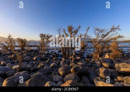 Sträucher hängen am felsigen Ufer des Lake Te Anau am Department of Conservation, DOC, Henry Creek Campsite unter einem blauen Himmel. Stockfoto