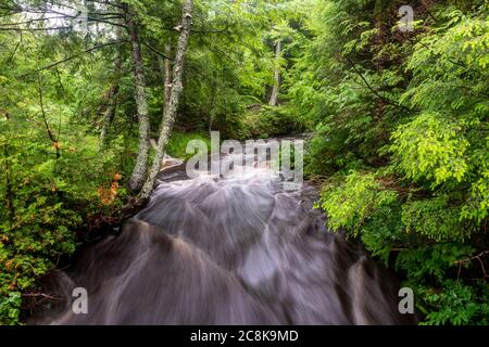 Wasser fließt nach einem Regensturm mitten in einem Wald. Stockfoto