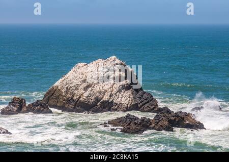 Vögel ruhen auf Seal Rock im Pazifik, vor der kalifornischen Küste Stockfoto