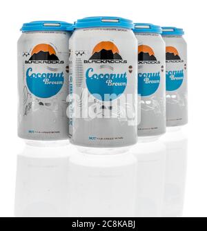 Winneconne, WI - 24. Juli 2020: Ein Sechserpack Blackrocks Kokos-braunes Bier auf einem isolierten Hintergrund Stockfoto
