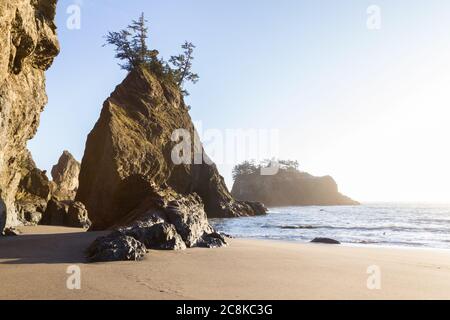 Ruhiger Strand an der südlichen Küste von Oregon, bekannt als Secret Beach mit wunderschönen Inseln, gekrönt von immergrünen Bäumen an einem schönen sonnigen Tag Stockfoto