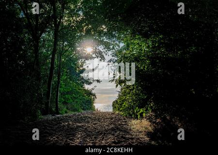 Blick durch einen Baumtunnel auf den Strand und das Meer der ostsee auf der Insel Poel in Neuhof Stockfoto