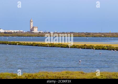 Kirche von San Miguel Arcangel, in Cabo de Gata, Almeria, Spanien. Die Kirche befindet sich neben einem Salzsee, wo viele Vögel leben, wie die Flamingos Stockfoto