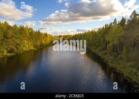 Schmaler Waldsee an einem sonnigen Septemberabend. Natur der Region Kostroma, Russland Stockfoto
