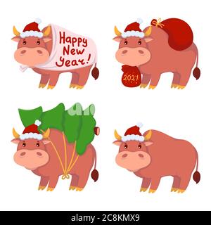 Stier mit Geschenken, trägt den Weihnachtsbaum. Jahr des Ochsen. Glückliche Kühe eingestellt. Neujahr und fröhliche weihnachten Vektor Illustration. Chinesische Sternzeichen o Stock Vektor