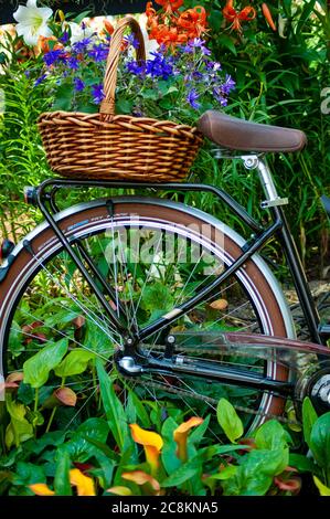 Fahrrad in den Blumen Stockfoto