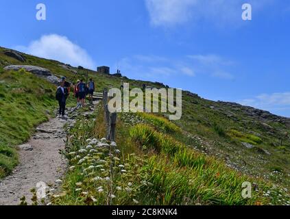 17. Juli National Trust Mayon Cliff's Walk zwischen Sennen Cove und Land's End in Cornwall an einem warmen Nachmittag Stockfoto