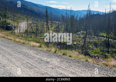 Die Westgabel des Rock Creek verläuft entlang der West Fork Road im Lolo National Forest, Montana, USA Stockfoto