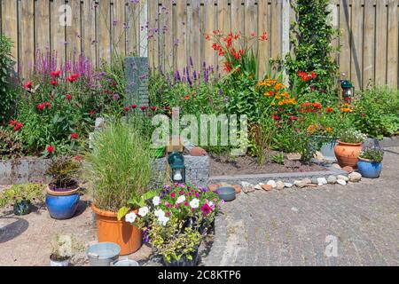 Ziergarten mit schönen bunten Pflanzen in Blumenbeet und blühenden Töpfen Stockfoto