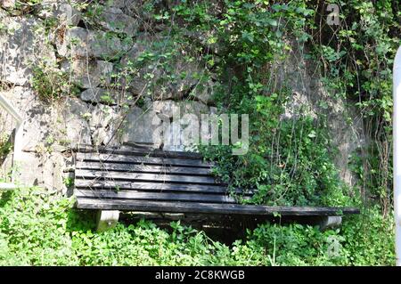 Stillleben mit einer hölzernen Bank und einer Wand aus Efeu. Holzbank auf dem schönen Efeu Hintergrund. Grüne Blätter und Platz zum Entspannen. Stockfoto