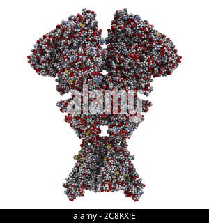 NMDA-Rezeptor (ionotroper Glutamat-Rezeptor). Struktur des menschlichen NMDAR, bestimmt durch Cryo-EM. Tetrameric Complex bestehend aus 2 NMDA 2A und 2 NMD Stockfoto