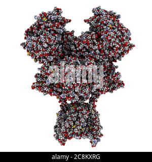 NMDA-Rezeptor (ionotroper Glutamat-Rezeptor). Struktur des menschlichen NMDAR, bestimmt durch Cryo-EM. Tetrameric Complex bestehend aus 2 NMDA 2A und 2 NMD Stockfoto