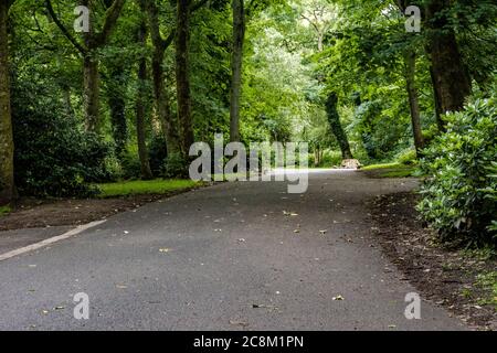 Schöne Naturaufnahme des Taylor Parks im Waldgebiet. Stockfoto