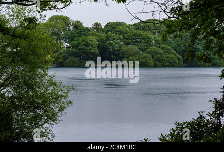 Schöne Naturaufnahme von Taylor Park innerhalb einer Öffnung des Waldes. Stockfoto