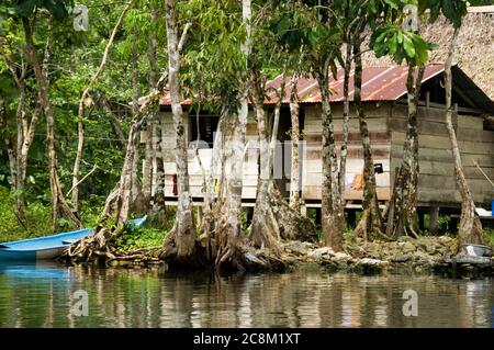 Typisches Kekchi indisches Holzhaus mit Blechdach, am Rio Dulce in Guatemala. Stockfoto