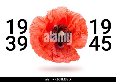 Erinnerungsmohn Foto und damit wir nicht vergessen, das Konzept Banner. Anzac Tag auch als Waffenstillstandstag bekannt. Stockfoto