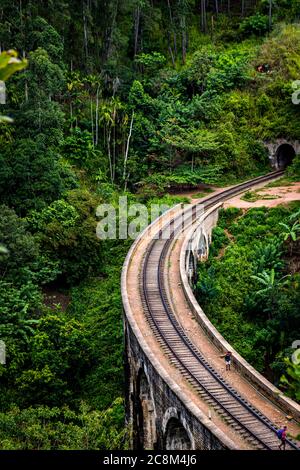 Nine Arch Bridge und Tunnel von oben in Ella, Sri Lanka Stockfoto