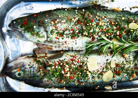 Zwei rohe Forellen mit Gewürzen bereit zum Kochen. Stockfoto