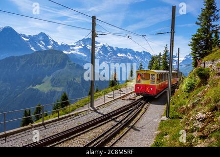 Schynige Platte, Berner Oberland, Schweiz - 1. August 2019 : Touristenzug in der Nähe des Bahnhofs Schynige Platte in atemberaubendem Panorama mit Eiger, ÖV Stockfoto