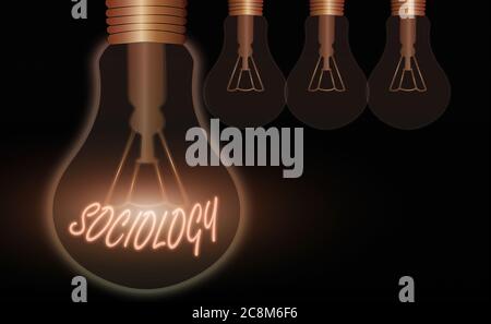 Konzeptionelle Handschrift, die Soziologie zeigt. Konzept, das die wissenschaftliche Analyse einer sozialen Institution als funktionierendes Ganzes bedeutet, realistisch gefärbter Wintag Stockfoto
