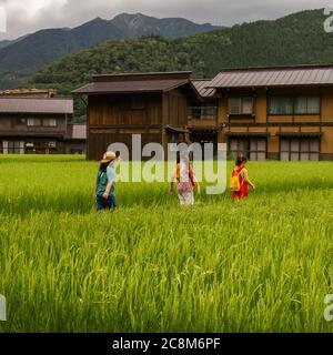 August 2019 - Shirakawa-go, Japan. Kinder in der Mitte des Reisfeldes. Shirakawa-go ist ein UNESCO-Weltkulturerbe mit historischen Häusern aus Holz gebaut. Stockfoto