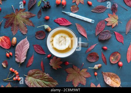 Grippesaison, Kältekonzept. Herbstfarben, reife Hagebutten mit einer Tasse heißen Tee mit Zitrone, Quecksilberthermometer mit hoher Temperatur an Stockfoto