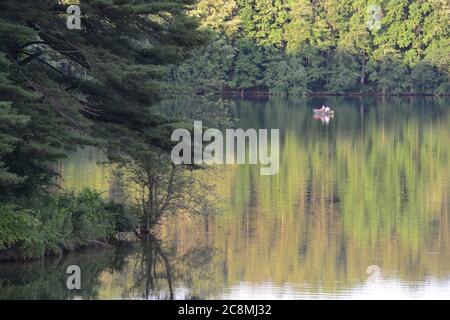 Reflection und Bootsfahrer auf Liberty Reservoir, Maryland USA Stockfoto
