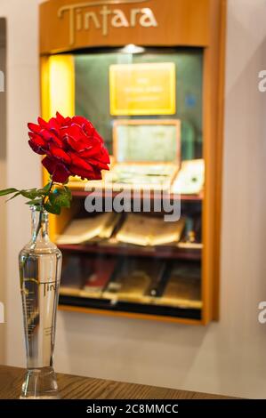 Eine einzelne rote Rose in einer Kristallvase begrüßt Touristen im beliebten Tintara Wine House im McLaren Vale in Südaustralien. Stockfoto