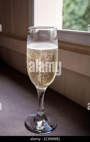 Ein Glas Sekt in der Nähe eines Fensters platziert, um das Licht in den Blasen zu fangen Stockfoto