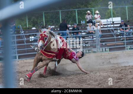 Cowboys treten am Freitag, 24. Juli 2020, bei der Team-Roping-Veranstaltung auf der Kootenai River Stampede in Libby, Montana, an. Das jährliche Rodeo wurde mit zusätzlichen Sicherheitsmaßnahmen aufgrund steigender COVID-19-Fälle im Bundesstaat abgehalten. Stockfoto