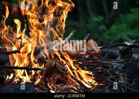 Toasten Speck im Wald auf einer Wanderung auf einem natürlichen Feuer Stockfoto